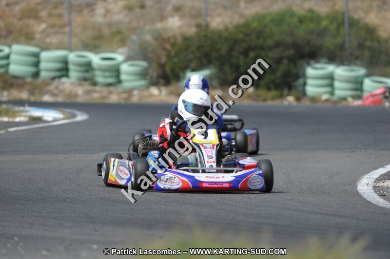 DSC (3083).JPG